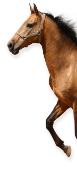 custom.footer.background-image.text